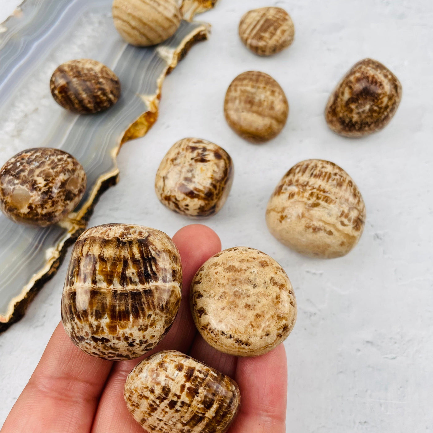 Aragonite Tumbled Stones in hand for size reference 