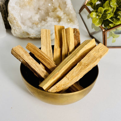 Multiple Palo Santo Holy Wood in bowl 