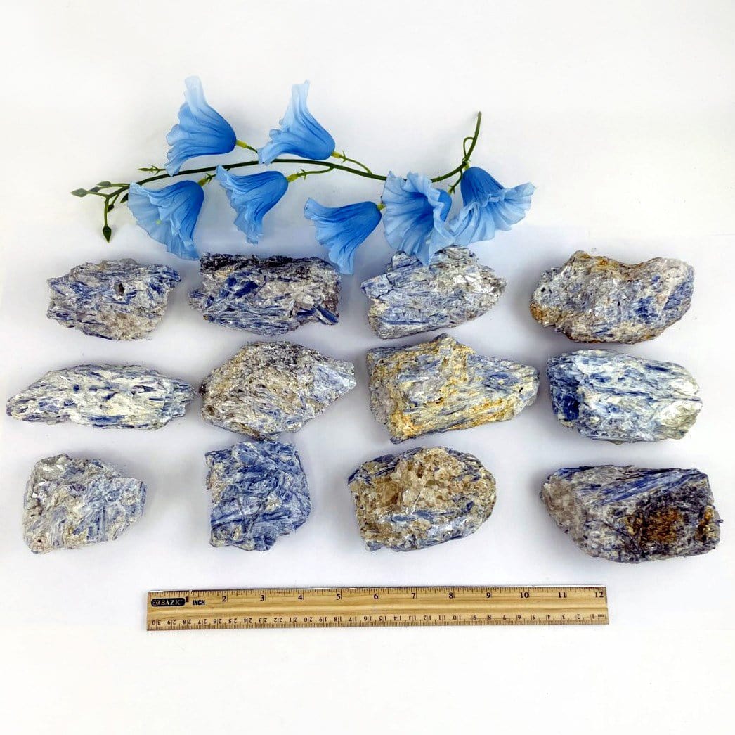 natural blue kyanite clusters next to a ruler for size reference 