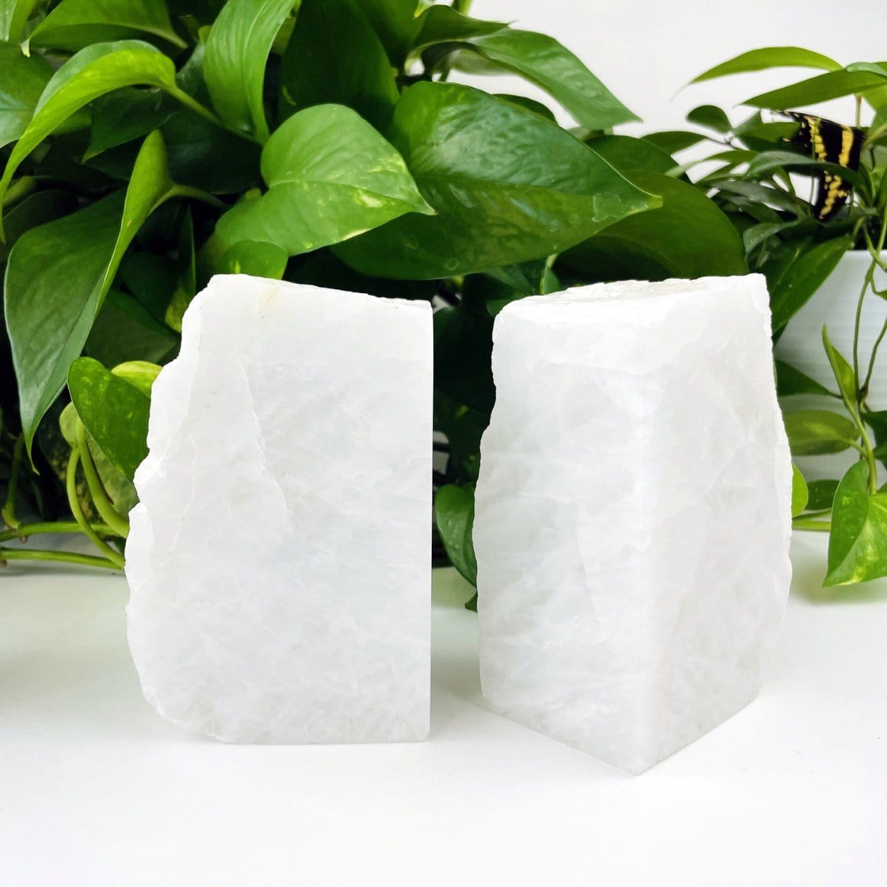 Crystal quartz bookend with a plant behind them.