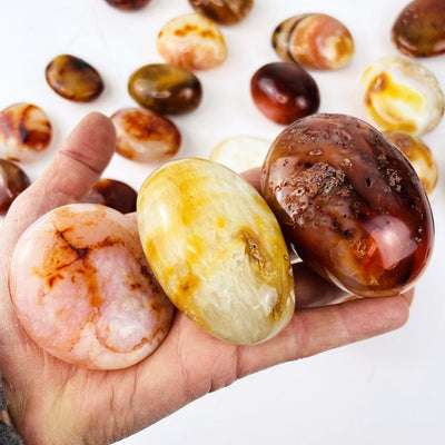 Carnelian Agate Tumbled Stones in a hand for size and color variation