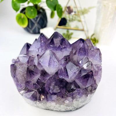 Amethyst Crystal Cluster  - Large Gorgeous Crystals with Polished Sides