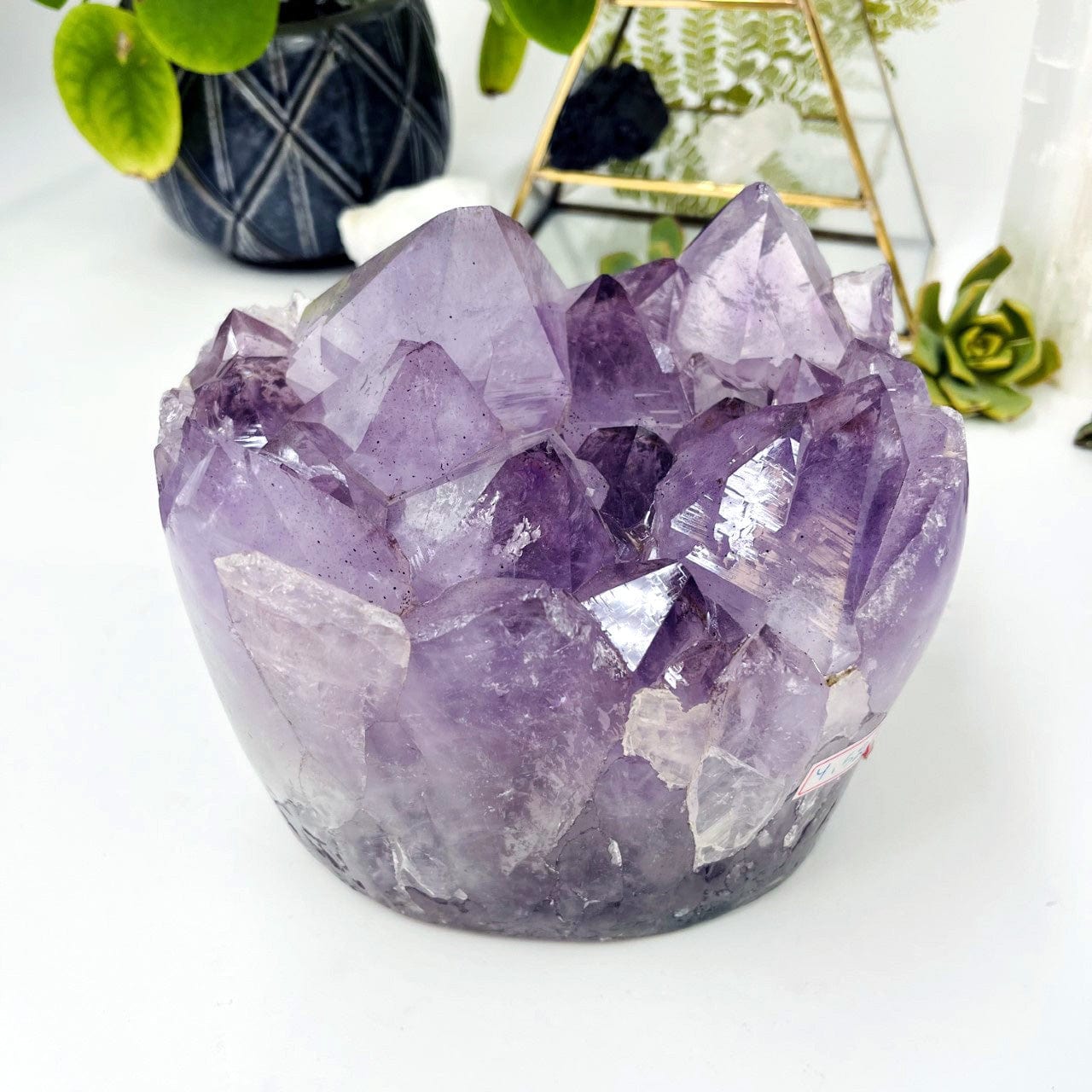 Amethyst Crystal Cluster  - Gorgeous Large Crystals with Polished Sides