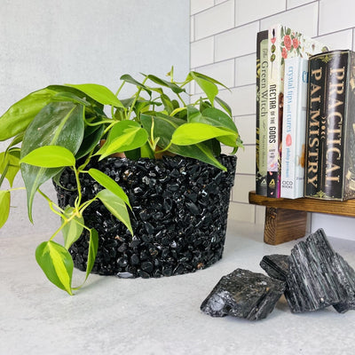 black tourmaline  Tumbled Stone Pot with a plant inside