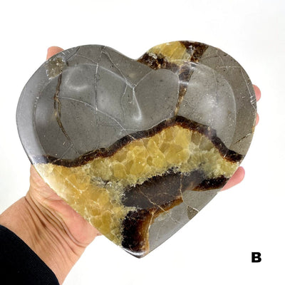 Septarian Heart Bowl - Polished Stone Dish #B in hand for size reference and formation differences