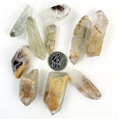 Rough Crystal Quartz Points with Chloride  around a quarter for size