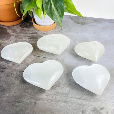  5 Selenite Heart Shaped Stones at a slight angle