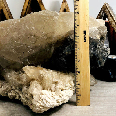 Alligator quartz picture next to a ruler for size reference. 