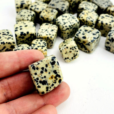 hand holding up dalmatian jasper cube for size reference with others blurred in the background