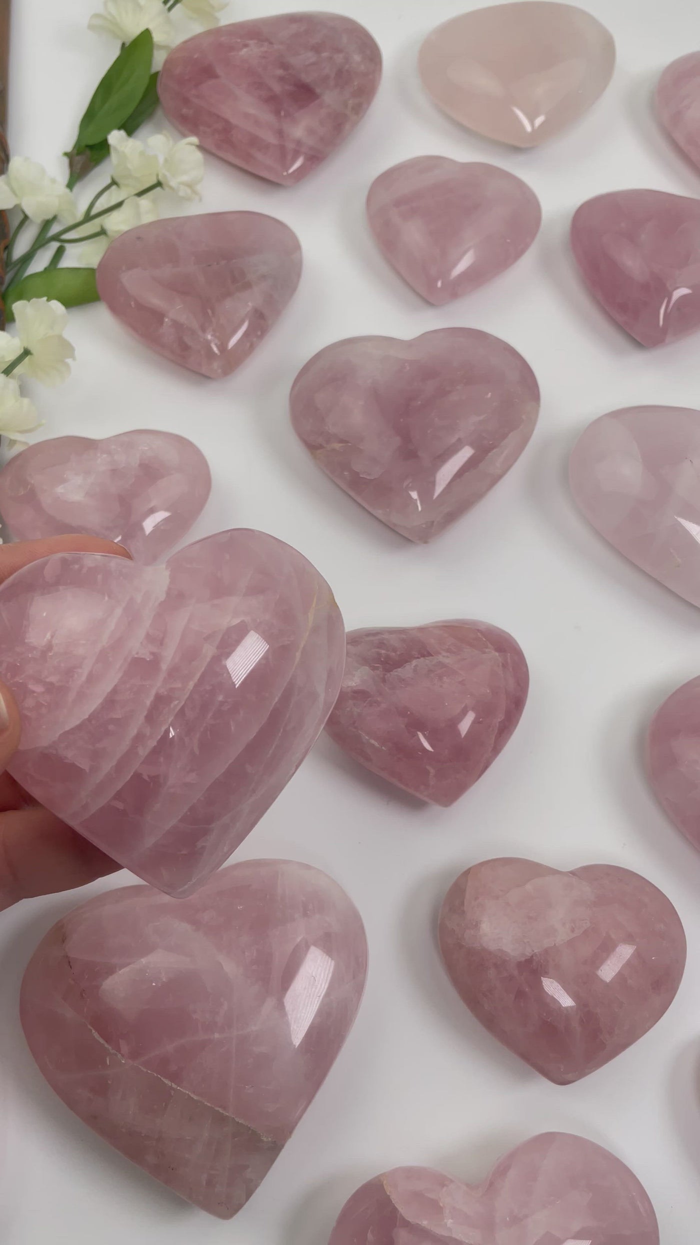 video of hearts laid out on a table showing sizes and shapes