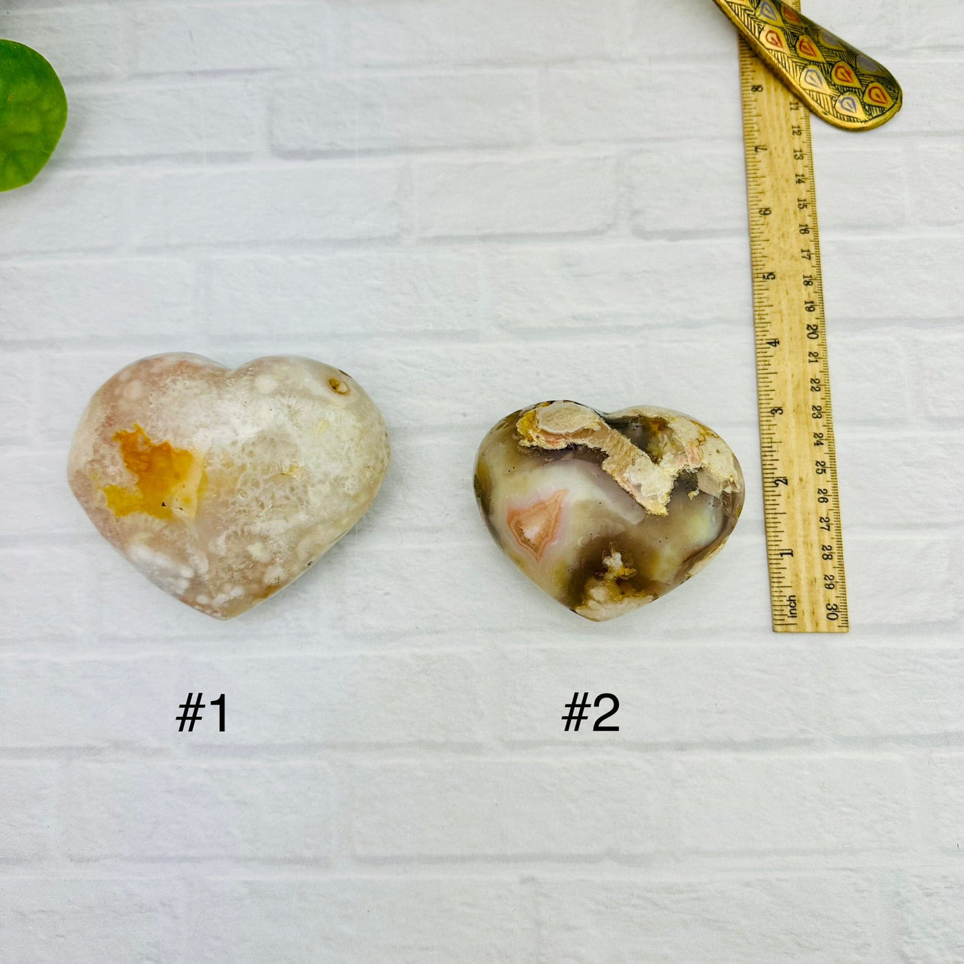 Polished Flower Agate Heart - You Choose - top view of choice number one and two with ruler for size refence 