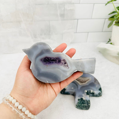Agate Druzy Wildlife Set - YOU GET ALL - in hand for size reference