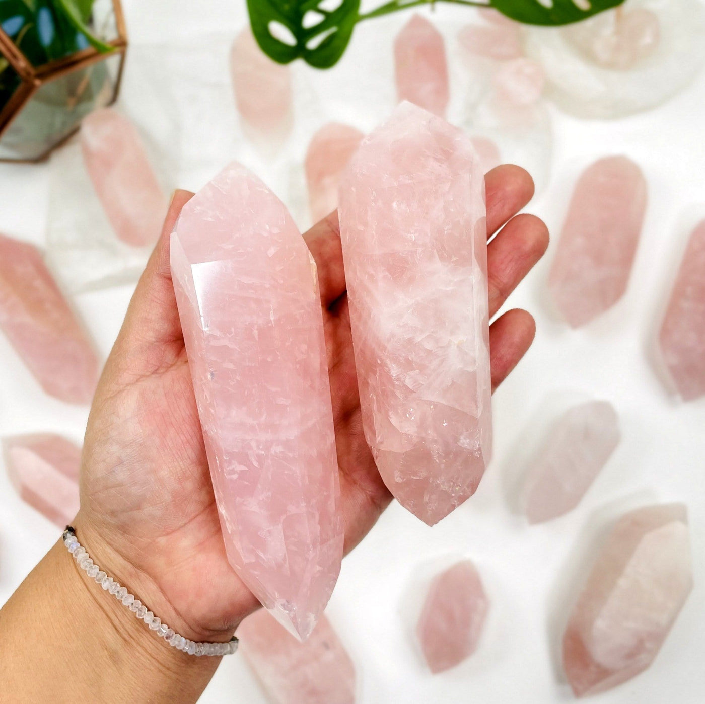 Hand holding up 2 Rose Quartz Double Terminated Points with others blurred in the background