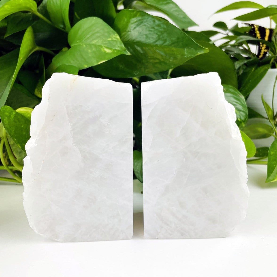 Crystal quartz bookend with a plant behind them.