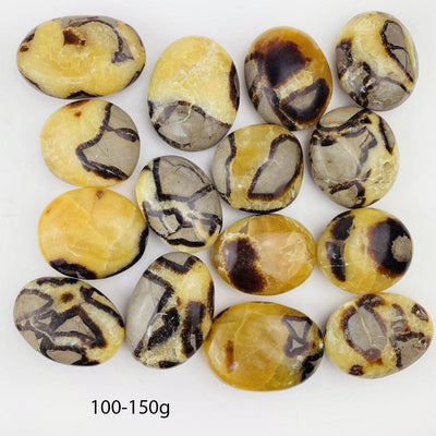 Septarian Tumbled Palm Stone 100-150g