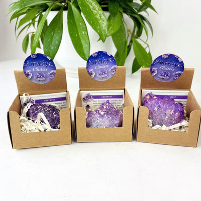 3 amethyst aura geode in box with decorations in the background