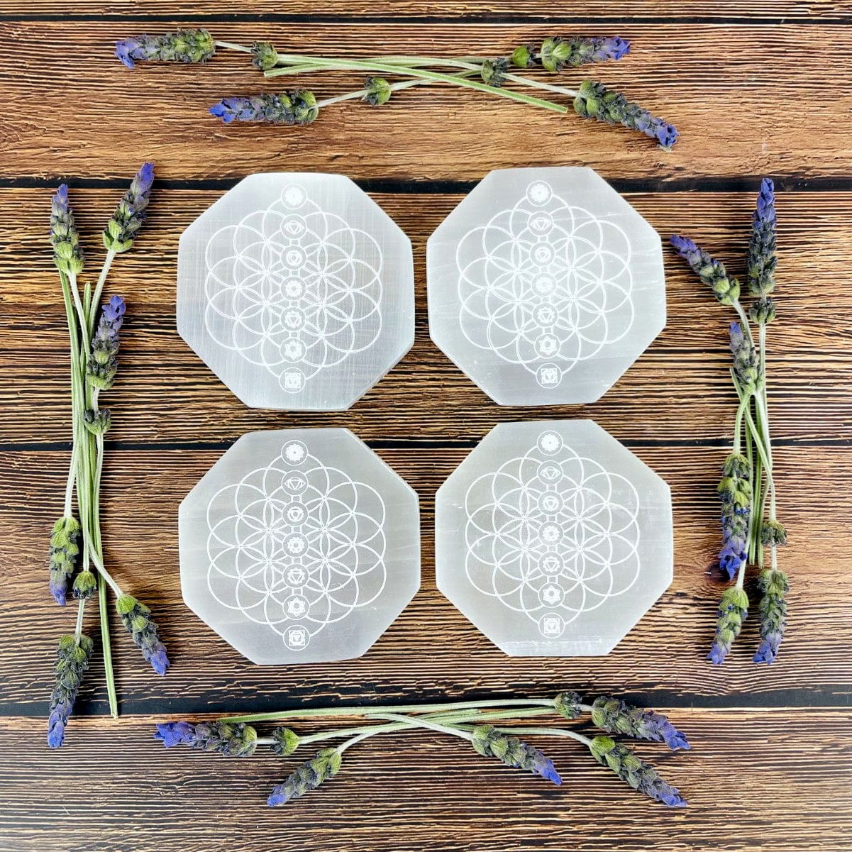 overhead view of selenite hexagons engraved with flower of life chakras for possible variations