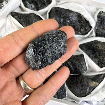 Raw Black Tourmaline in a hand for size reference of the larger size