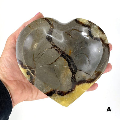 Septarian Heart Bowl - Polished Stone Dish #A in hand for size reference and formation differences