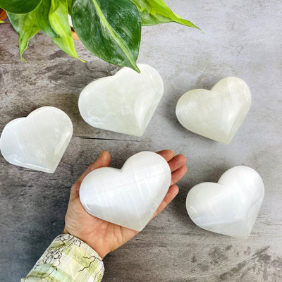  5 Selenite Heart Shaped Stones with 1 in hand for sizing