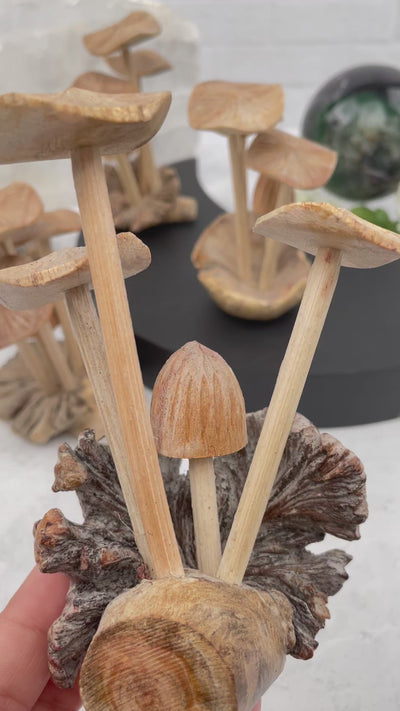 Hand Crafted Wooden Mushrooms