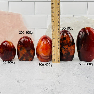 carnelian cut base sold by weight. cut base displayed next to a ruler for size reference 