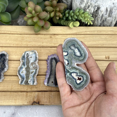 hand holding up Drilled Stalactite Slice with others in the background