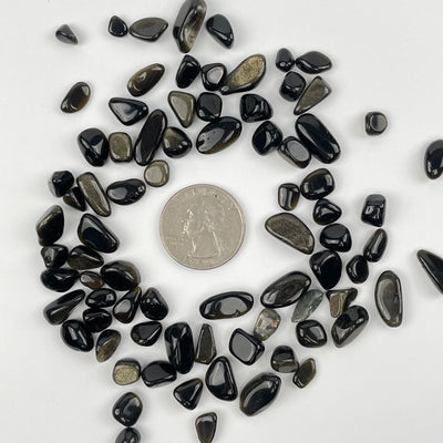 Golden Obsidian Tumbled Chips next to a quarter for size reference 