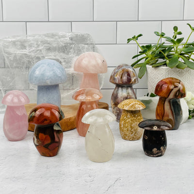 multiple Gemstone Mushrooms displayed to show the differences in the sizes and crystal types available 