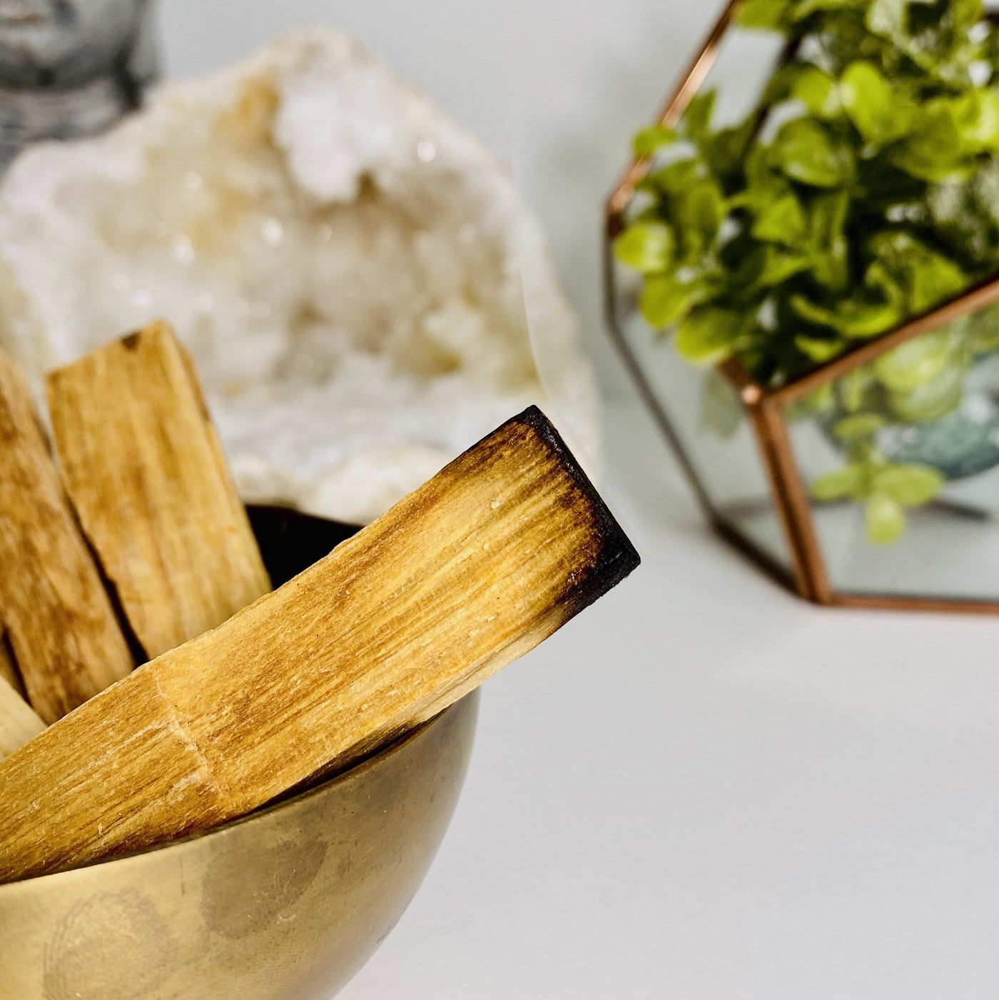 Closeup multiple Palo Santo Holy Wood in bowl