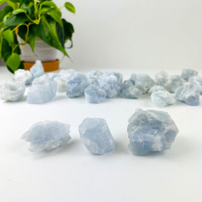 3 Celestite Stones up close with other stones in background