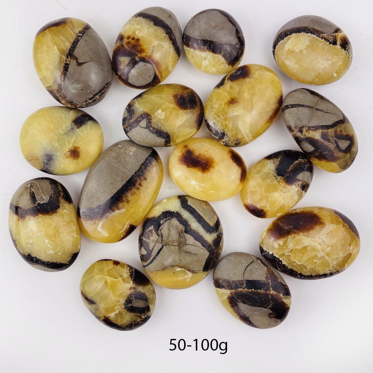 Septarian Tumbled Palm Stone 50-100g 