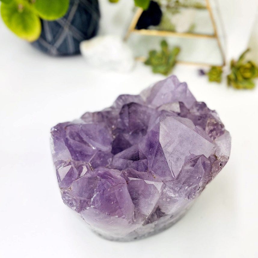 Amethyst Crystal Cluster  - Gorgeous Large Crystals with Polished Sides from top view