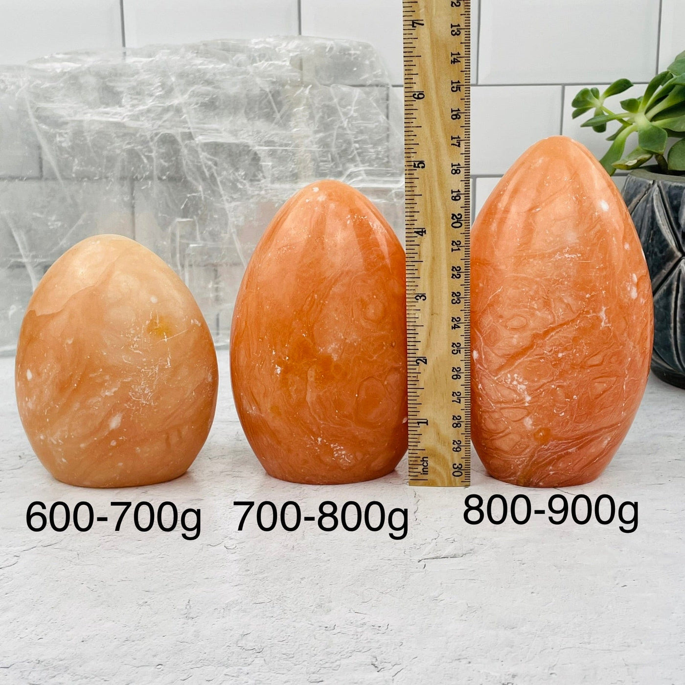 Peach Aventurine Cut Base sold by weight. displayed next to a ruler for size reference 