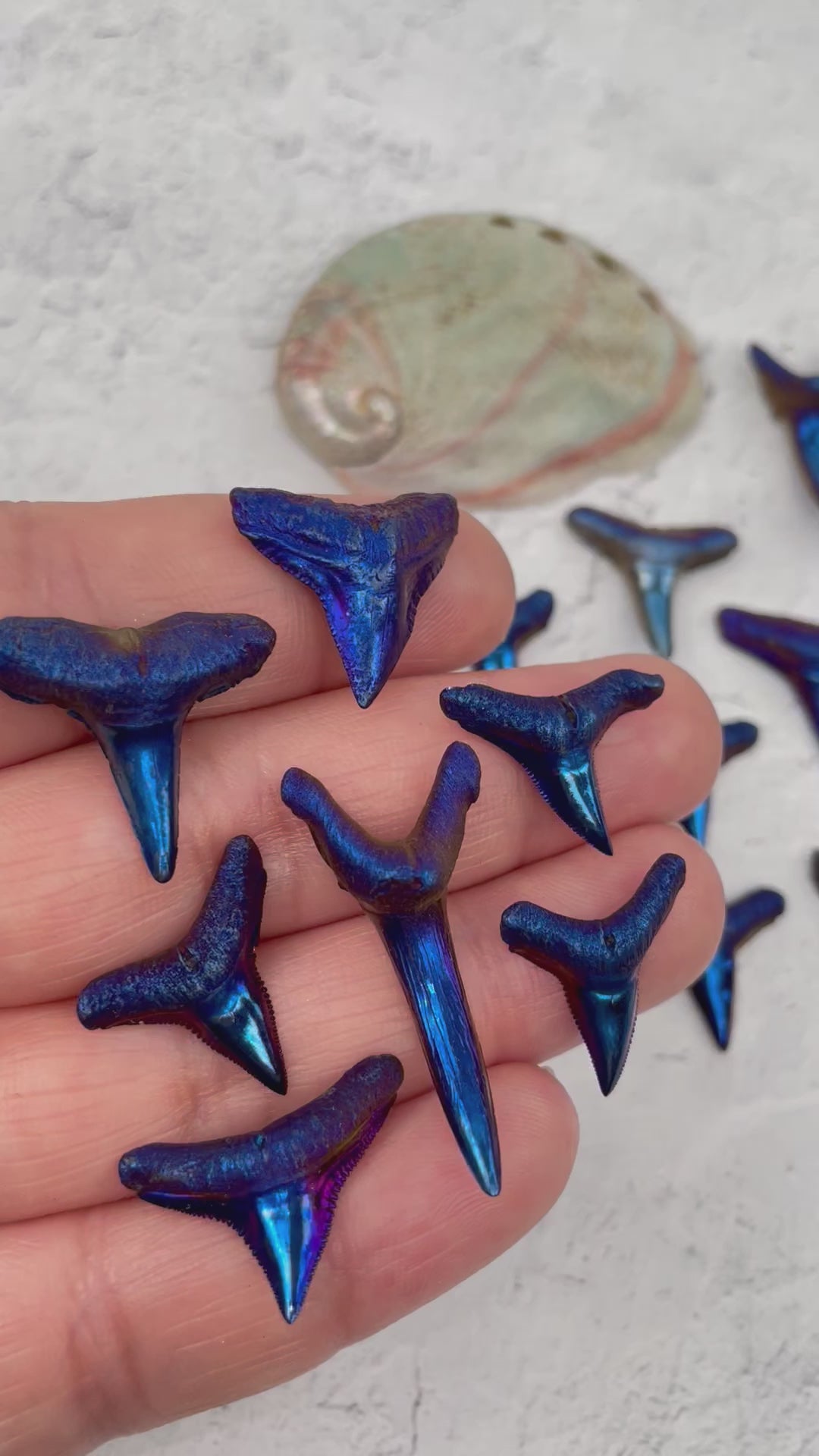 Titanium Shark Tooth - Mystic Blue (RK36B29-01)
