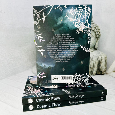 Cosmic Flow - back view of book