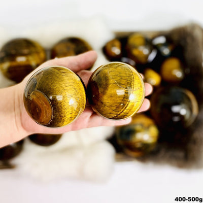 Tigers Eye Polished Spheres-Top view of medium-large size and pattern detail on hand. 