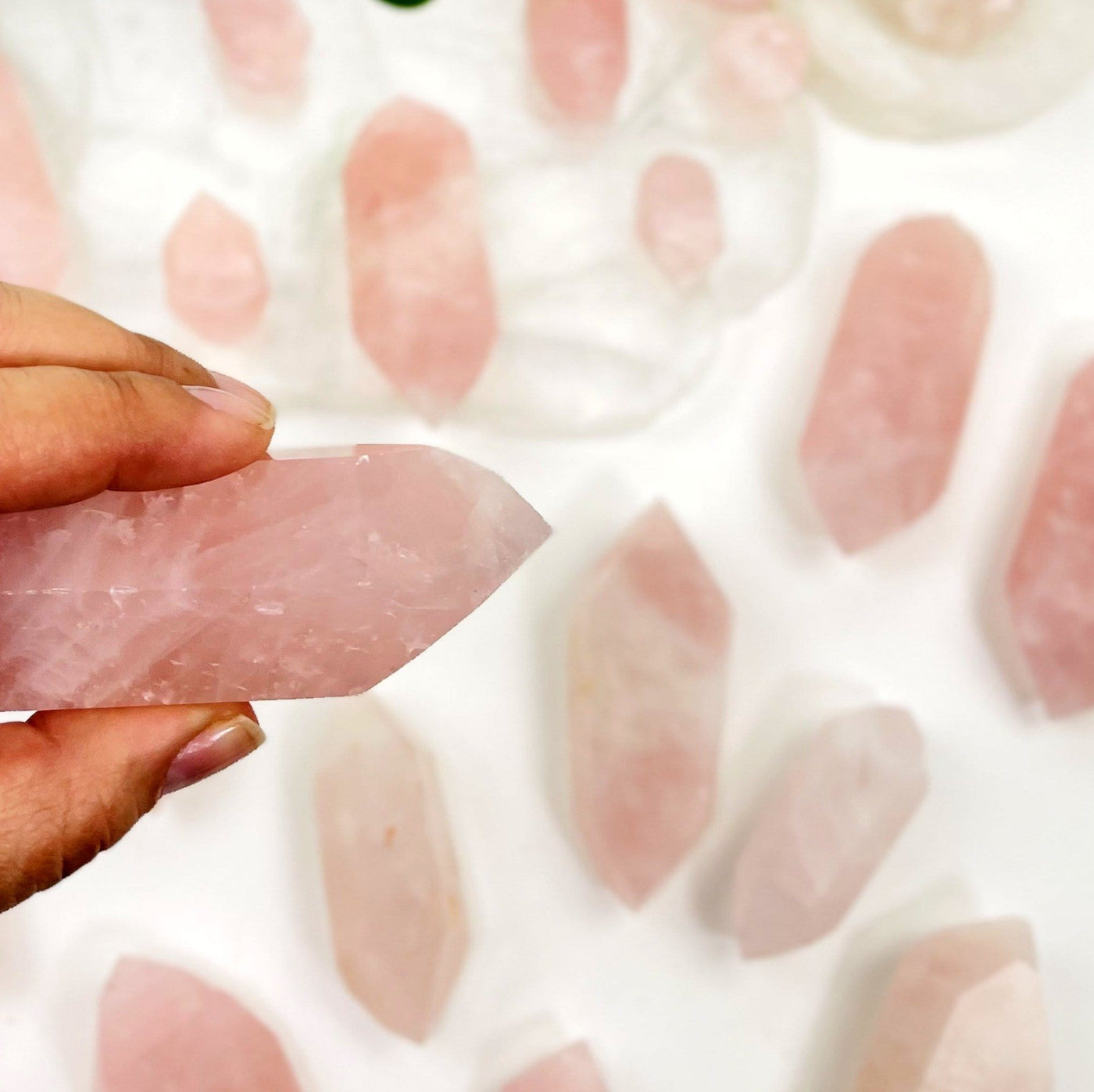 Hand holding up 2 Rose Quartz Double Terminated Points with others blurred on white background