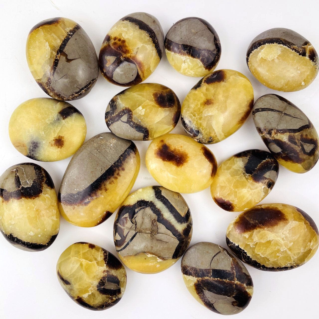 Septarian Tumbled Palm Stone in assorted sizes, laid out on a table