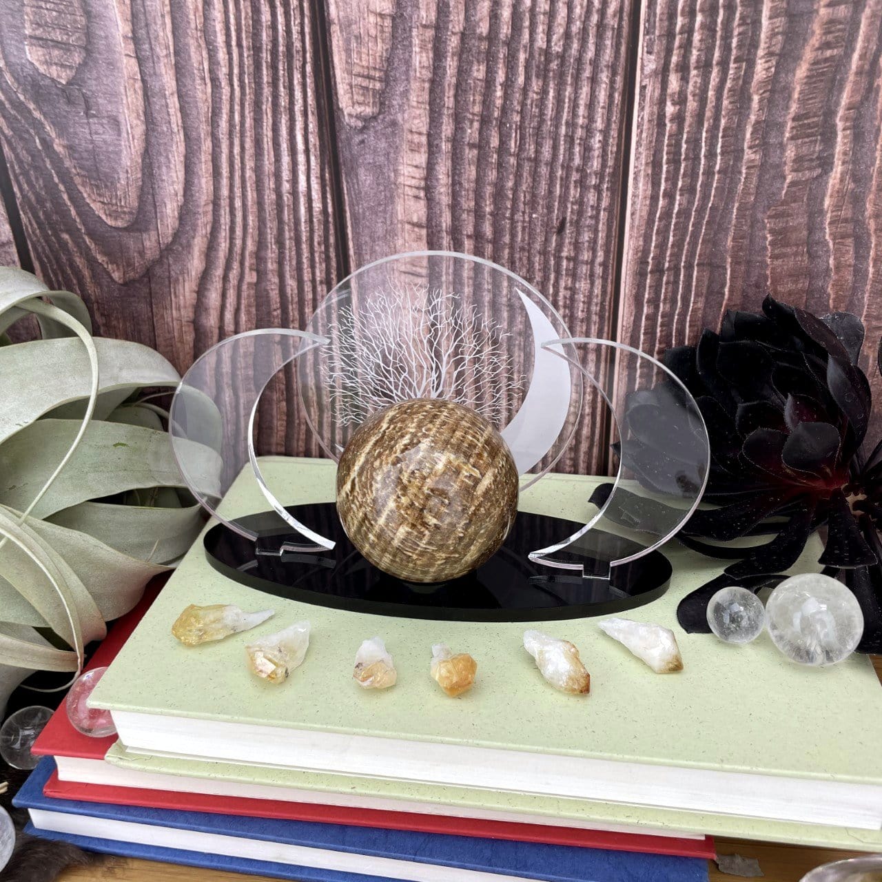 Sphere holder with a cut out acrylic circle in the middle that has an engraved tree and moon.  Two clear acrylic moons on the side and a black base.  In this photo an aragonite sphere is placed on it.