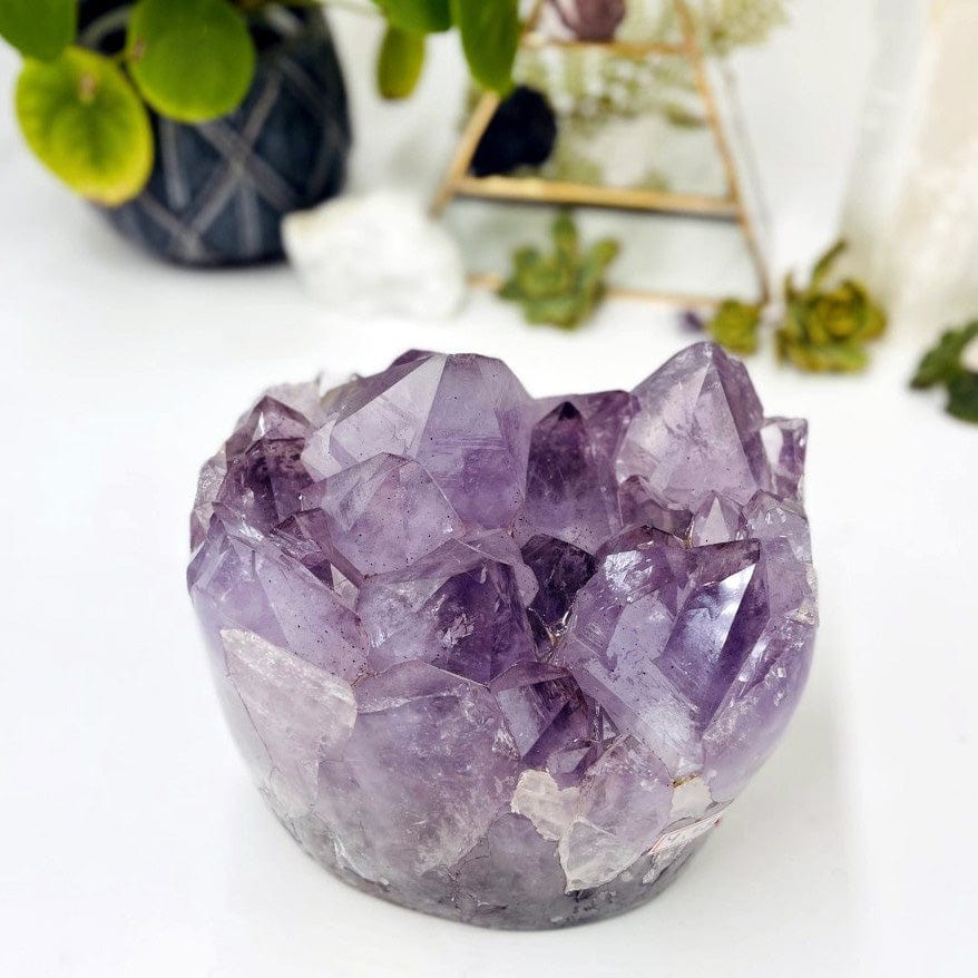 Amethyst Crystal Cluster  - Gorgeous Large Crystals with Polished Sides