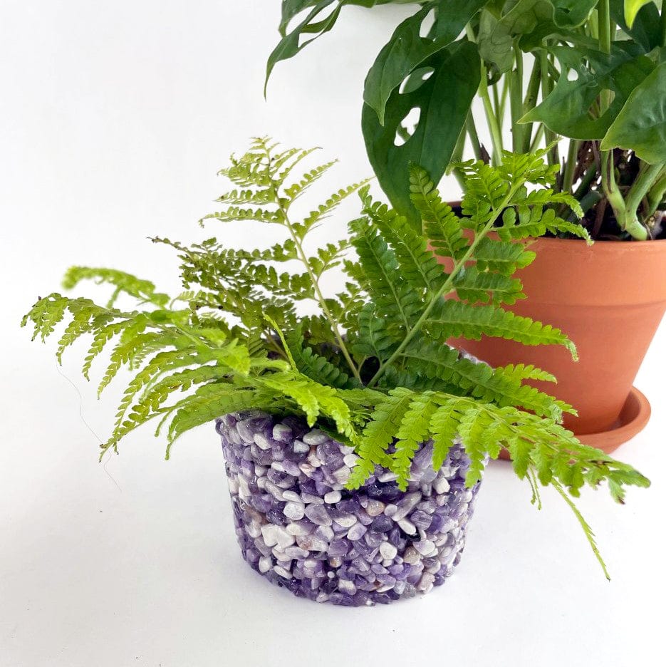 stones in pot plants Tumbled Stone Planter