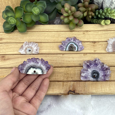 Amethyst Stalactite Slices - Single Drill Hole with #4 in a hand for size reference