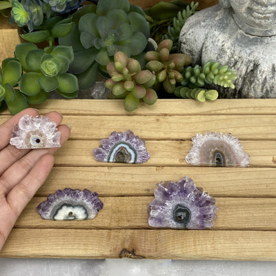 Amethyst Stalactite Slices - Single Drill Hole with #1 in a hand for size reference