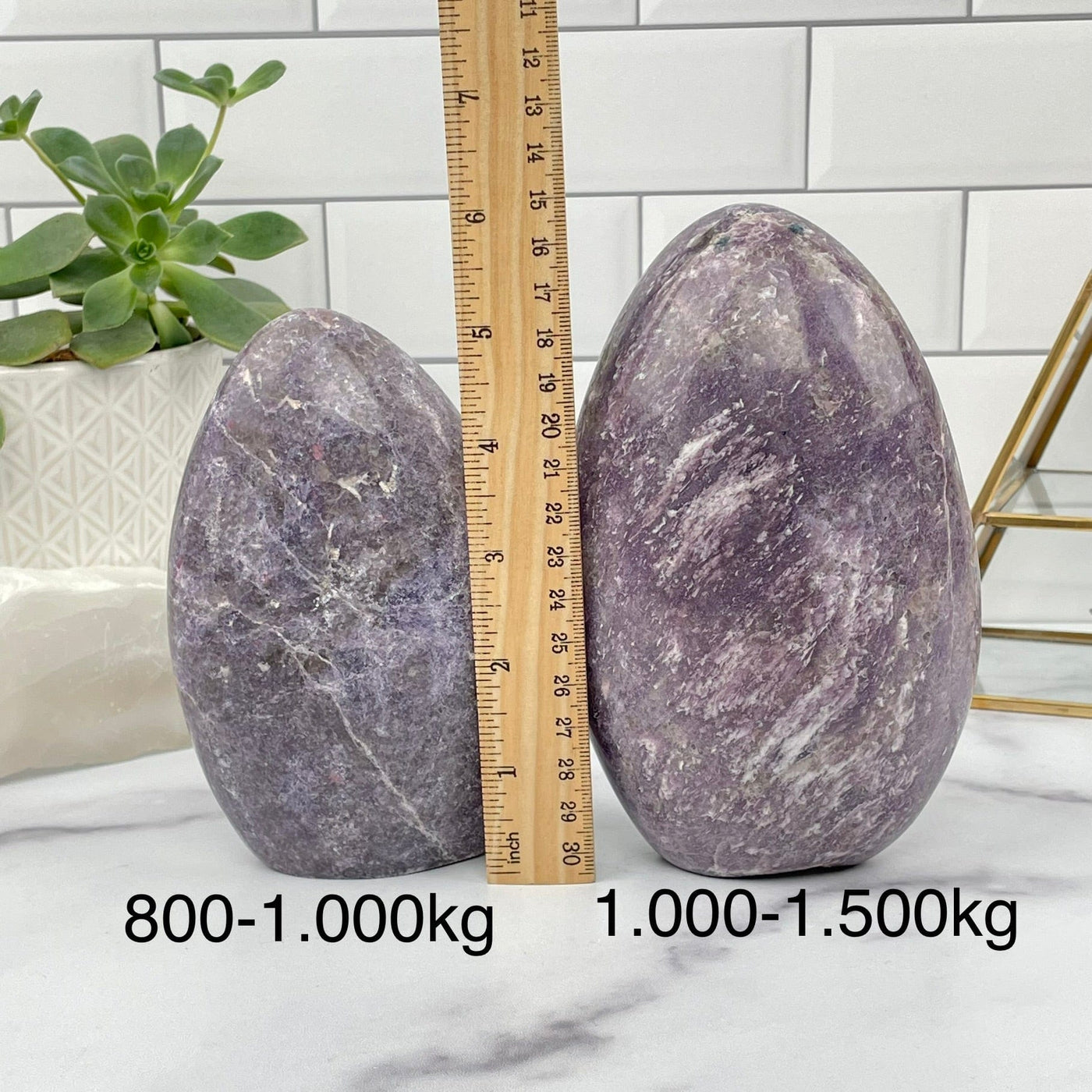 Lepidolite Polished Cut Base displayed next to a ruler for size reference. sold by the weight 