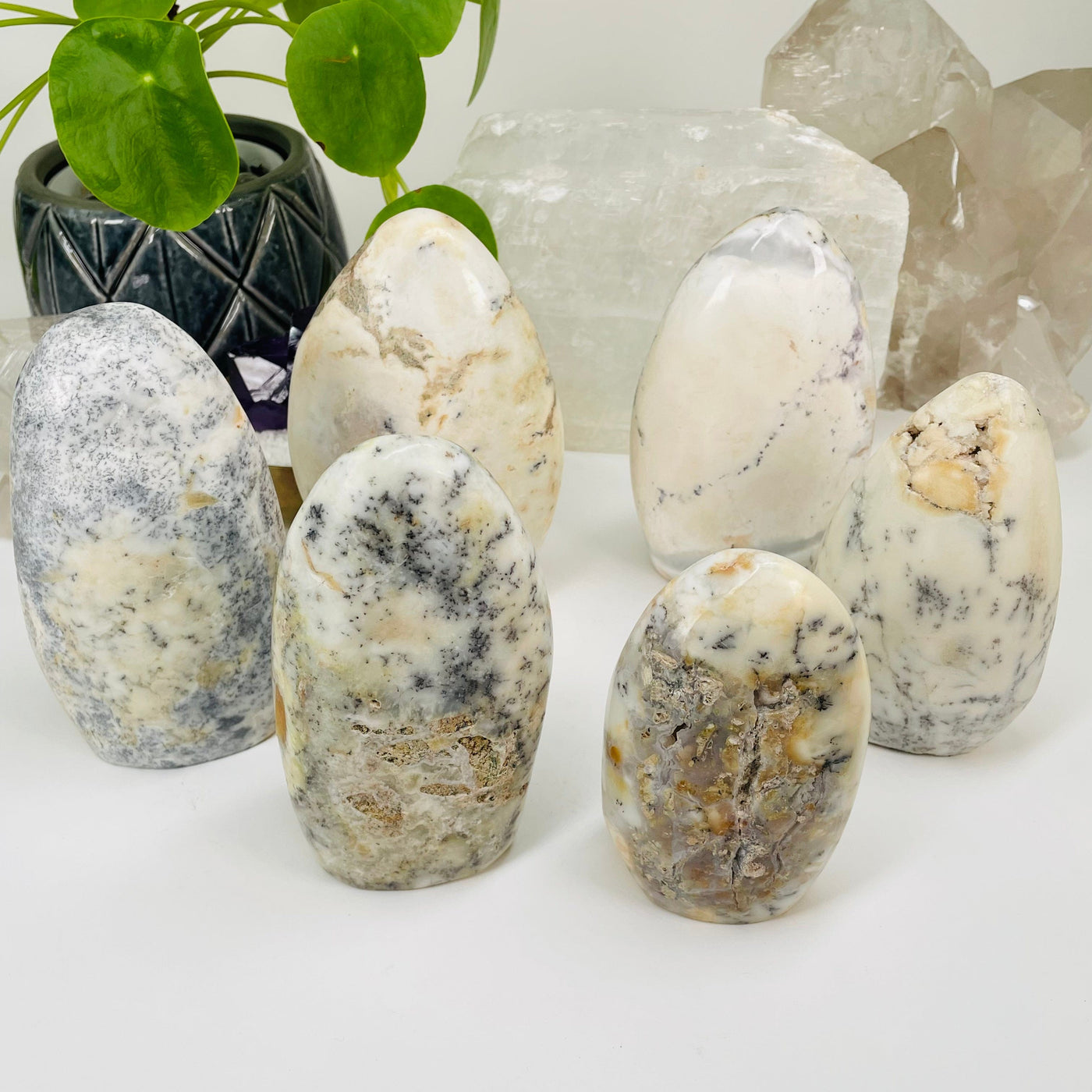 multiple dendrite opal cut bases displayed as home decor 