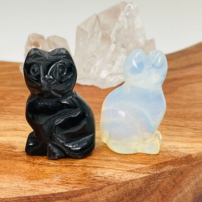 close up of the front and back of the carved gemstone cats 