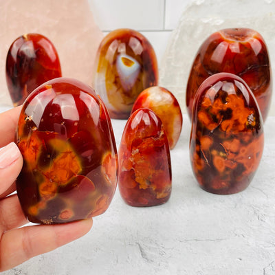 Carnelian Polished Cut Base in hand for size reference 