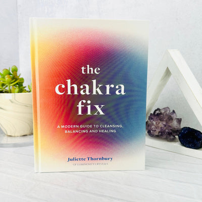 The Chakra Fix - front cover of book