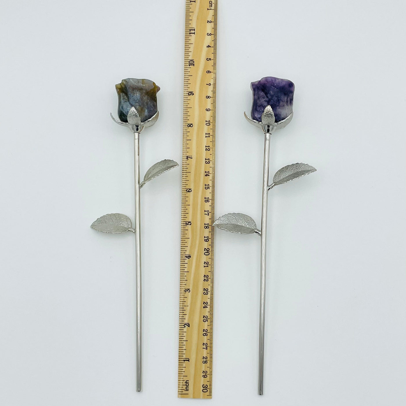roses displayed next to a ruler for size reference 